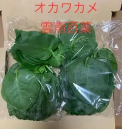オカワカメ　バブリン様専用