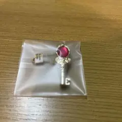 ハーツラビュル寮orスカラビア寮 ダイキャストチャームマジカルペン
