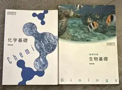 Item thumbnail for item 409b7c48-268d-47c2-aa27-cbbdf053b5cb