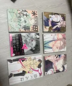 ボーイズラブ漫画セット6冊 他にも出品しております！