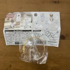 わんこのタイムカプセル モカ ガチャ