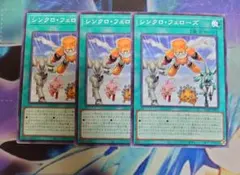 シンクロ・フェローズ ノーマルパラレル　3枚セット