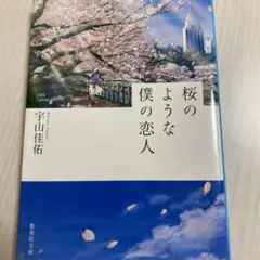 桜のような僕の恋人 宇山佳祐