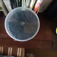 ショコランタン様専用