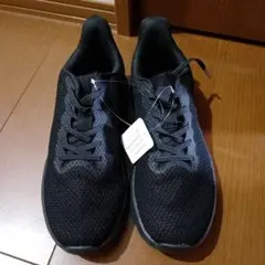 Item thumbnail for item c8332941-e63e-4d04-baab-d6e0cc9775ee