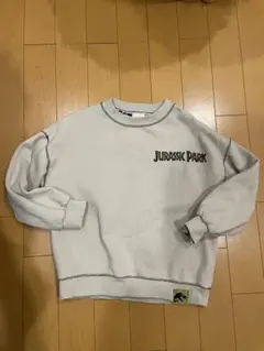 ZARA Jurassic Park トレーナー 110サイズ 裏起毛トレーナー