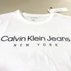 カルバンクライン Tシャツ Lサイズ 半袖 トップス メンズ ホワイト ロゴ