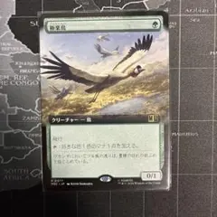 2026年最新】極楽鳥 mtgの人気アイテム - メルカリ
