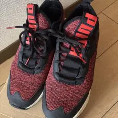 Item thumbnail for item 363af6d8-30d9-4ab5-80dd-7081ba44c0e0