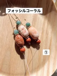 フォッシルコーラル3個セット①