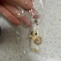 ウォレスとグルミット めじるしアクセサリー ガチャガチャ