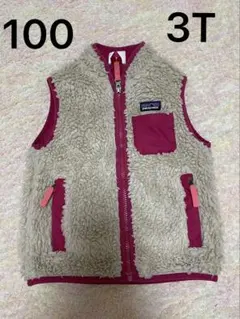 patagonia パタゴニア　フリースベスト3T 100