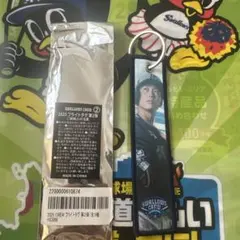 スワレージアイテム★澤井廉選手CREW フライトタグ