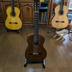 アリア　ぺぺ（ミニギター）『P-49M』 ps58set.jpg