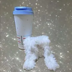 もちふわうさぎポーチ