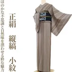 正絹 縦縞“ほのかな不思議と自然味を漂わせる粋な魅力☆”小紋 着物 H-41