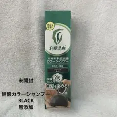 利尻炭酸カラーシャンプー　ブラック　新品未開封 4本セット Amazon | Sastty (サスティ) 【白髪用】利尻 炭酸 カラー