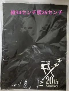 【新品未開封】sante FX 20th Anniversary トートバッグ