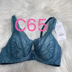 トリンプ 天使のブラ(R) スリムライン582 ブラ ダークグリーン C65