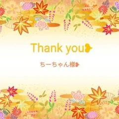 ちーちゃん様 リクエスト 2点 まとめ商品