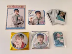 パンダドラゴン たいが チェキ 缶バッジ ポストカード