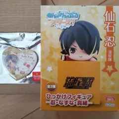 仙石忍 願望缶 ベリモン 缶バッジ 80点 メルカリ