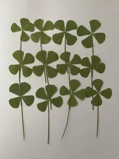 ohana123様 リクエスト 4点 まとめ商品