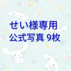 せい様専用 公式写真 9枚