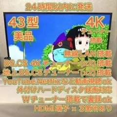 ☆HF1【山口県下松市】液晶テレビ パナソニック TH-43HX850 21年製