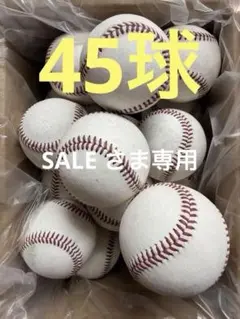 早い者勝ち！【新品・未開封】福岡ソフトバンクホークス サイン用