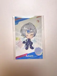 コンパス シクパ アダム