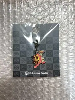 ポケモンセンター 全国ずかんメタルチャーム バクガメス