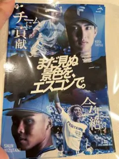 ファイターズ　日ハム　まだ見ぬ景色を、エスコンで。　ステッカー　達　水谷　シール