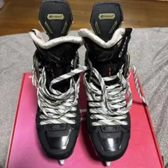 Item thumbnail for item 9a609ca1-77dc-46f8-b25f-7e612b16ea59