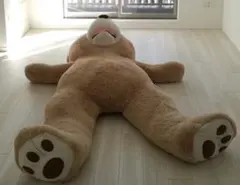コストコ　236センチのビッグデディベア