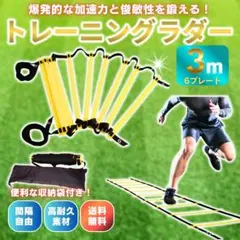 トレーニングラダー 3m 6枚 収納袋付き 敏捷性 瞬発力 体幹 強化