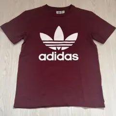adidas バーガンディーTシャツ ロゴTのサムネイル