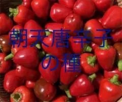 たかさん様 リクエスト 3点 まとめ商品