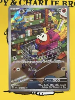 2026年最新】ポケモン ホゲータ arの人気アイテム - メルカリ