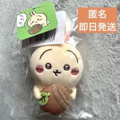 ちいかわ　うさぎだらけくじ　D賞　どんぐりDJ