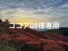 ココア08様専用