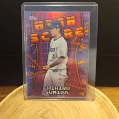 Item thumbnail for item 172b287a-5ce4-4322-812a-bbe17b6cb4cb