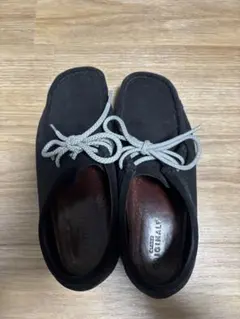 Clark's ワラビー