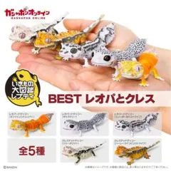 オンライン版　いきもの大図鑑レプティBEST レオパとクレス　コンプ
