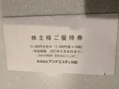 アンドエスティHD 株主優待券 10000円分 and ST HD アダストリアのサムネイル