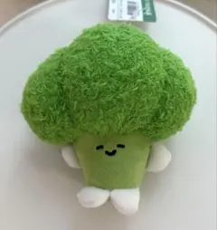 [韓国] KO1KEYZ ぬいぐるみ　加藤大樹　ブロッコリー　ミドリ　お揃い