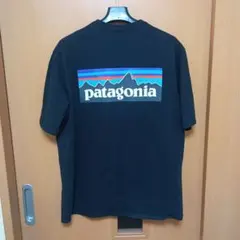 Patagonia Responsibili-Tee Mサイズ 黒のサムネイル