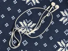 Apple 純正 EarPods Lightning ライトニングイヤホン