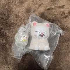 2026年最新】Skzoo ジニレット ぬいぐるみの人気アイテム - メルカリ