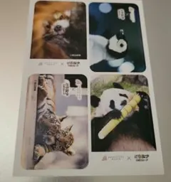 平成レトロ ウィンターパンチャン メモ帳 当時物 パンダ - メルカリ